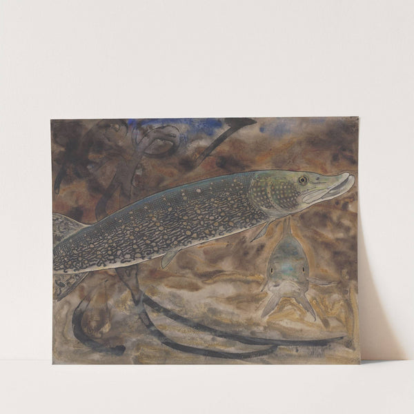 Twee Snoeken in een aquarium, van opzij en van voren gezien by Gerrit Willem Dijsselhof