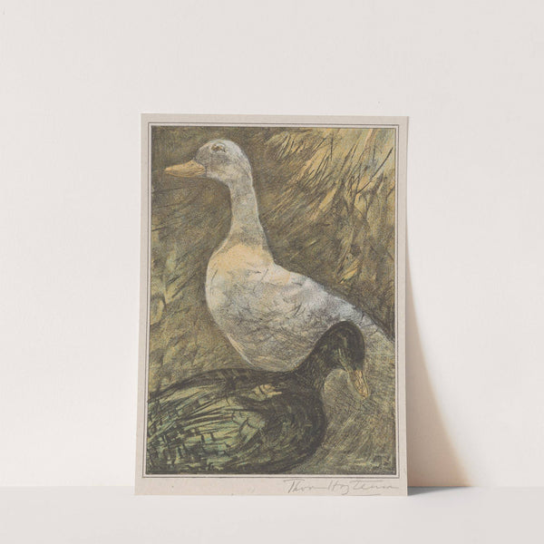 Twee staande eenden by Theo van Hoytema