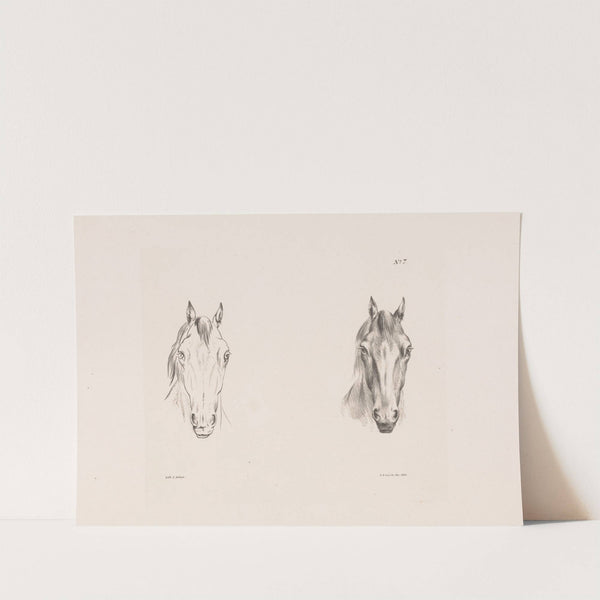 Twee studies van een paardenhoofd (1835) by Pieter Frederik van Os