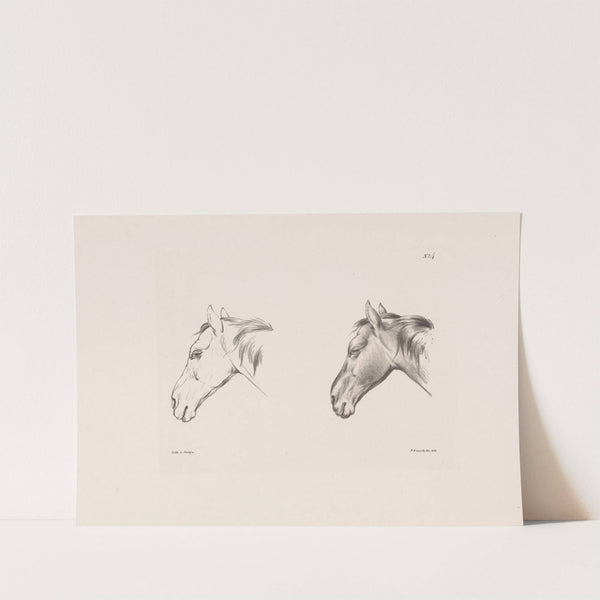 Twee studies van een paardenhoofd (1835) by Pieter Frederik van Os