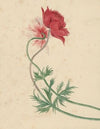 Twee takken met elk een bloem