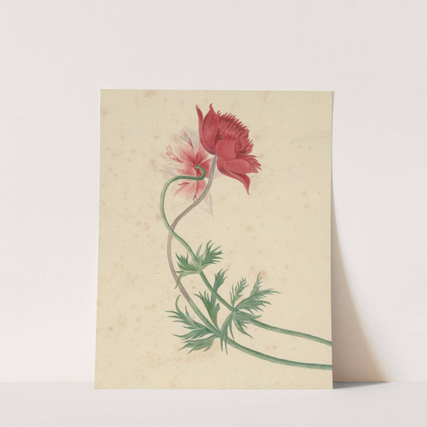 Twee takken met elk een bloem by Michiel van Huysum