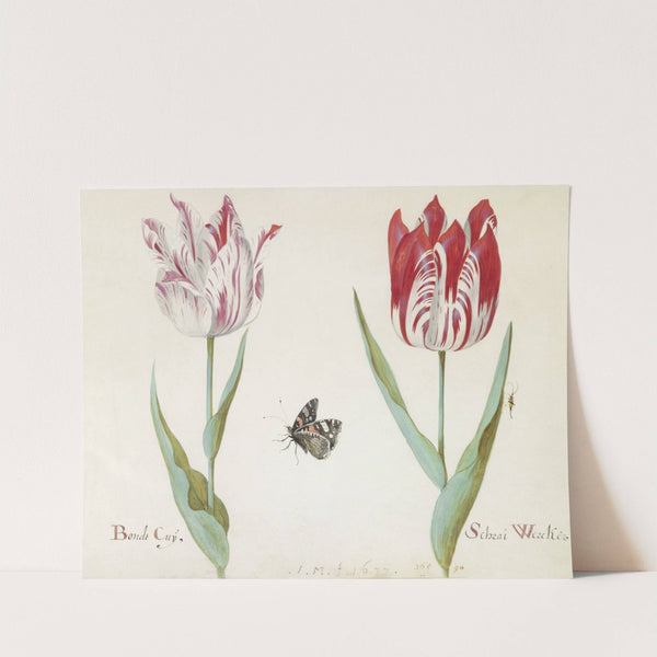 Twee tulpen met atalanta en krekel Bondt Cuy Schrai Wercker (1637) by Jacob Marrel