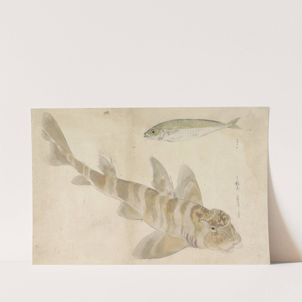 Twee vissen; poon en haring by Ishikawa Kazan