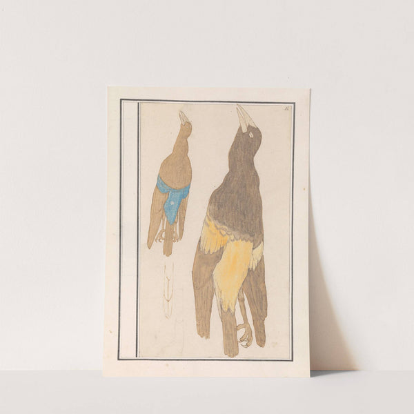 Twee vogels (1596-1610) by Anselmus Boëtius de Boodt