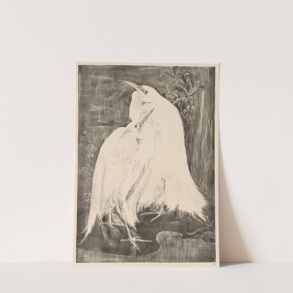 Twee zilverreigers by Theo van Hoytema