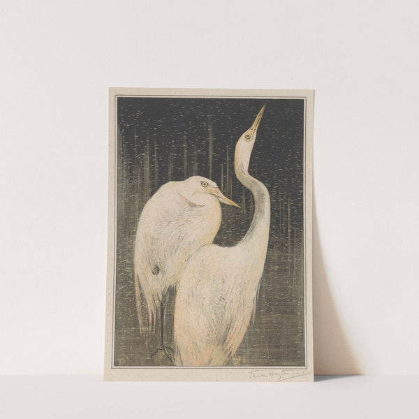 Twee zilverreigers by Theo van Hoytema