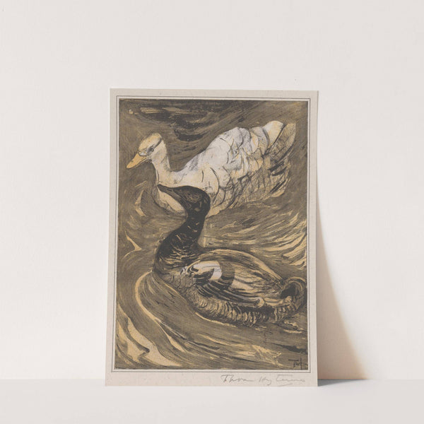 Twee zwemmende eenden by Theo van Hoytema