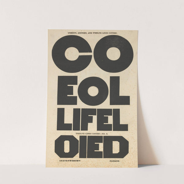 Twenty, sixteen, and twelve lines gothic by Anonymous