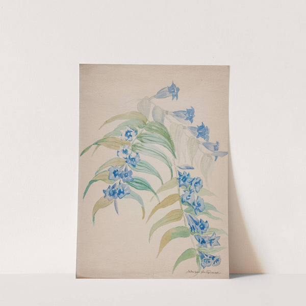 Twigs with blue flowers by Jadwiga Gałęzowska