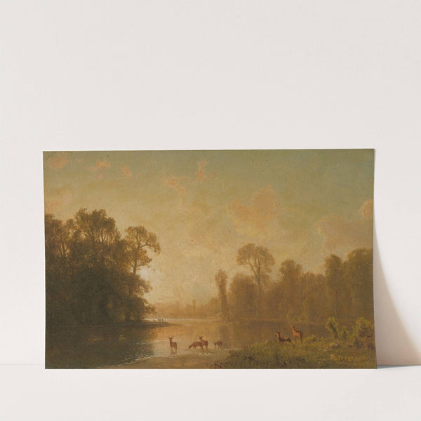 Twilight With Deer by Albert Bierstadt