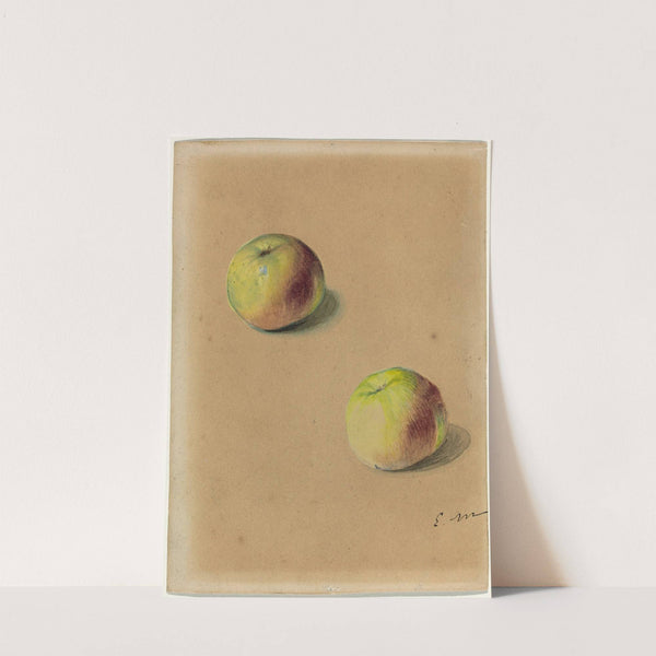 Two apples by Édouard Manet