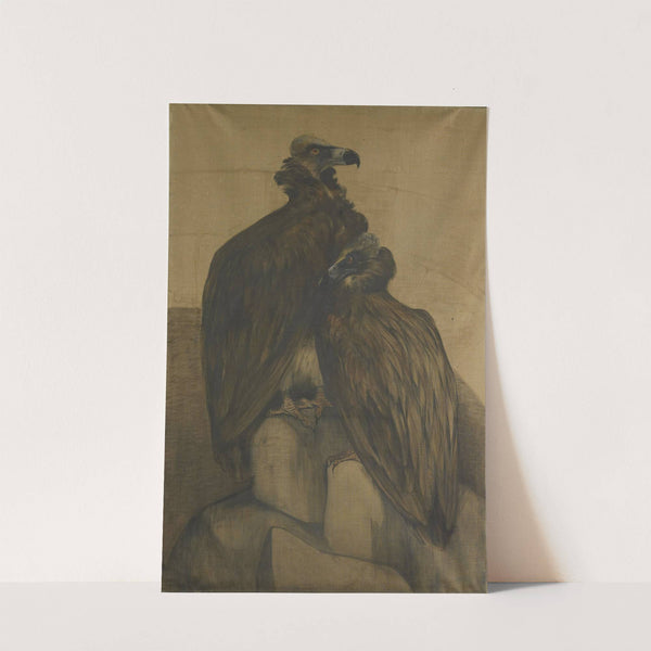 Two Arabian Vultures by Theo van Hoytema