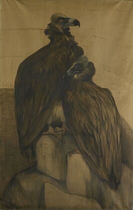 Two Arabian Vultures (1885 - 1917)