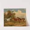 Two bay horses and a dappled grey in a field with trees on the left (1869) by James Walsham Baldock