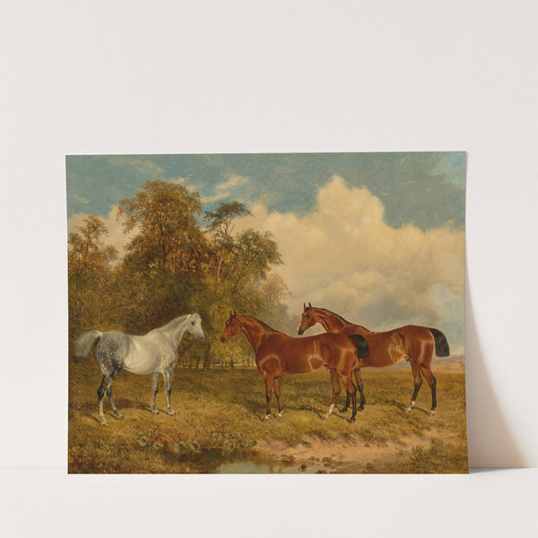 Two bay horses and a dappled grey in a field with trees on the left (1869) by James Walsham Baldock