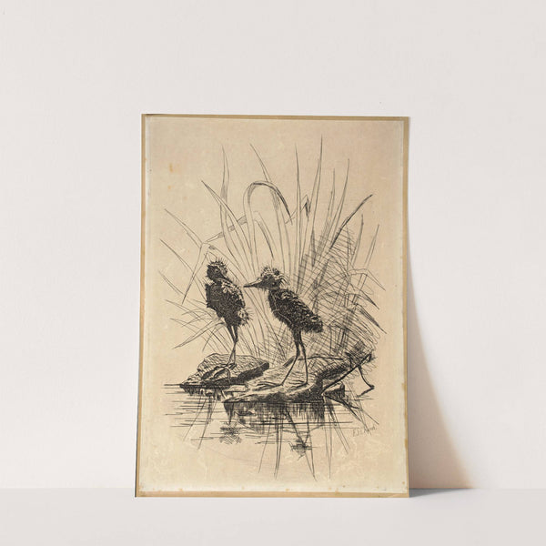 Two Birds by Frederick Stuart Church