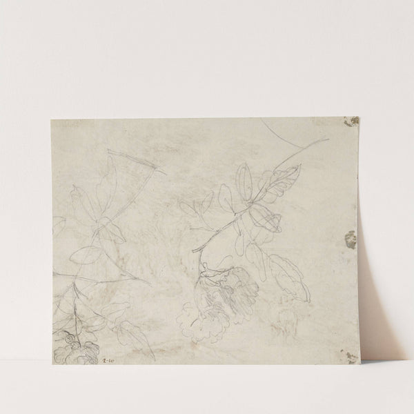 Two blooming branches by Jan van Huysum