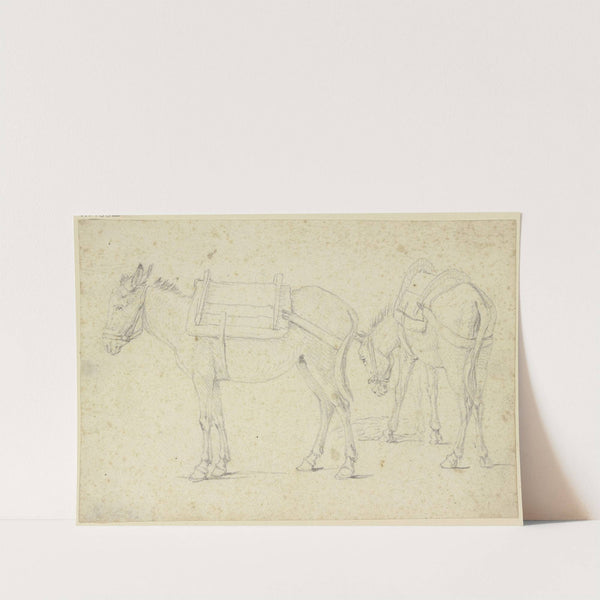 Two bridled donkeys by Georg Philipp Rugendas the Elder