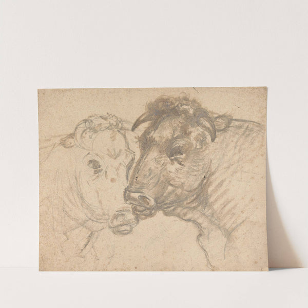 Two Bulls by Sawrey Gilpin
