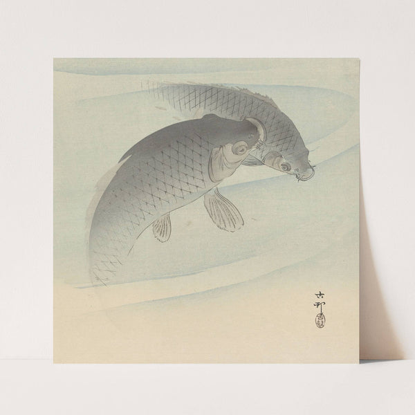Two carps (1900 - 1910) by Ohara Koson