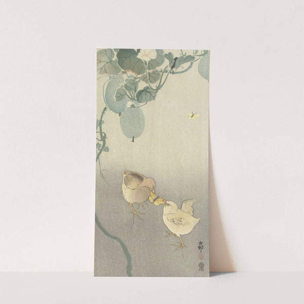 Two chicks fighting for butterfly by Ohara Koson