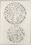 Two circular images