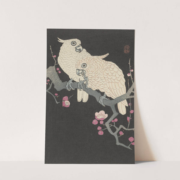 Two cockatoo and plum blossom by Ohara Koson