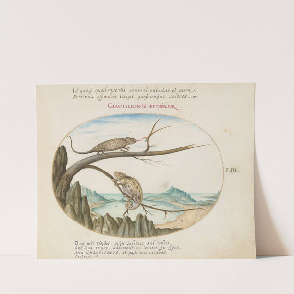 Two Common or Mediterranean Chameleons above San Sebastián, Spain (1575-1590) by Joris Hoefnagel