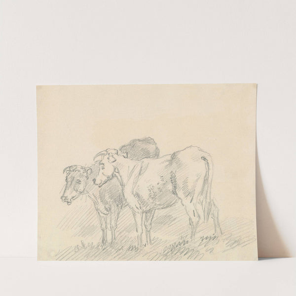 Two Cows by Sawrey Gilpin