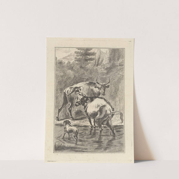 Two cows and a dog in a stream by George Bickham the Younger