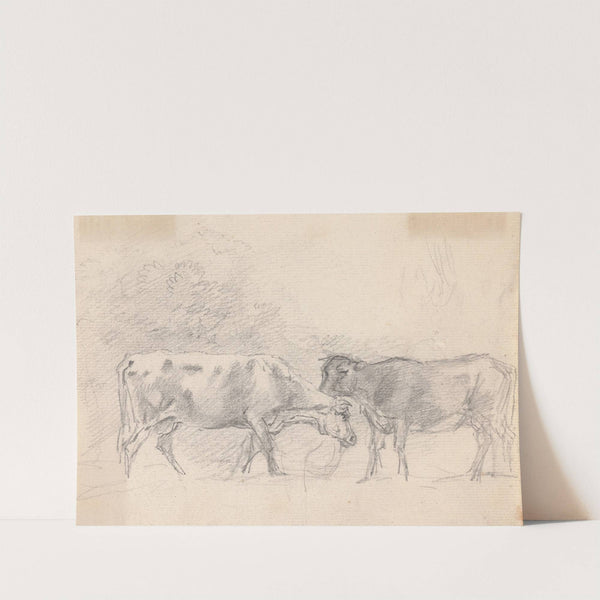 Two Cows Grazing by Sawrey Gilpin