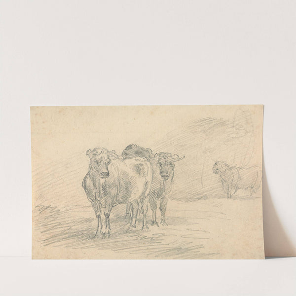 Two Cows on a Hill by Sawrey Gilpin