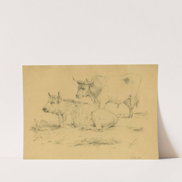 Two cows on a pasture (1876) by Floris Verster