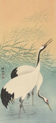 Two cranes
