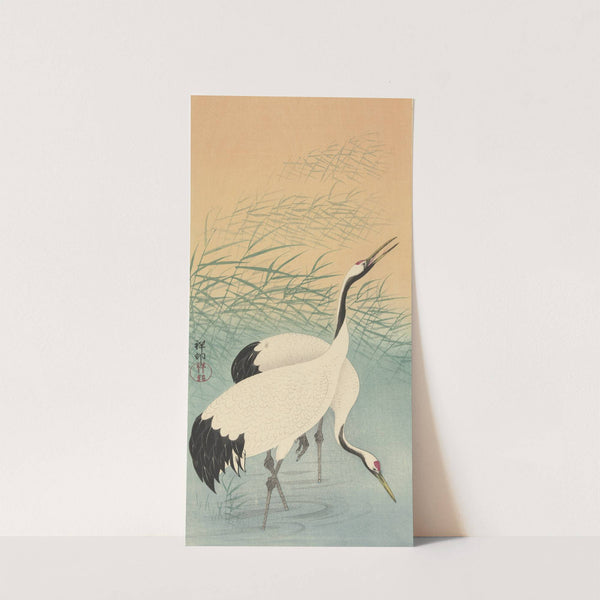 Two cranes by Ohara Koson