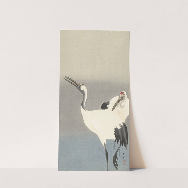 Two cranes by Ohara Koson