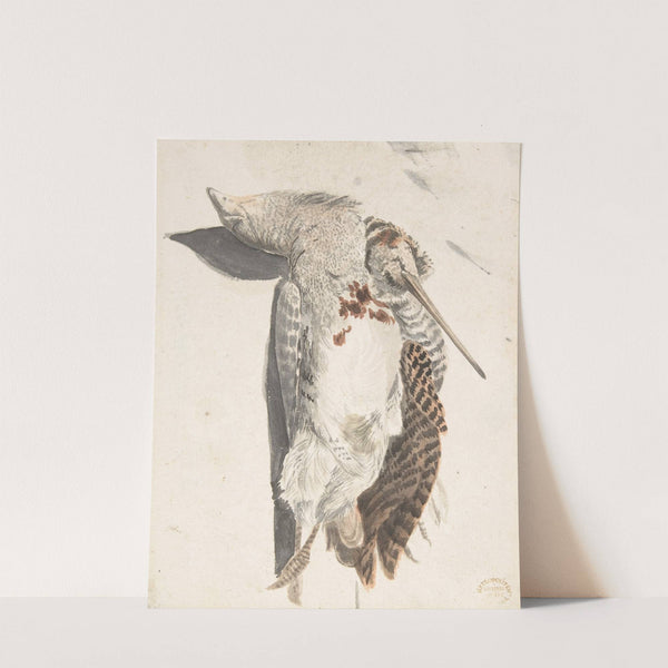 Two Dead Birds (A Quail and a Long-Beaked Bird) by Count Giorgio Durante