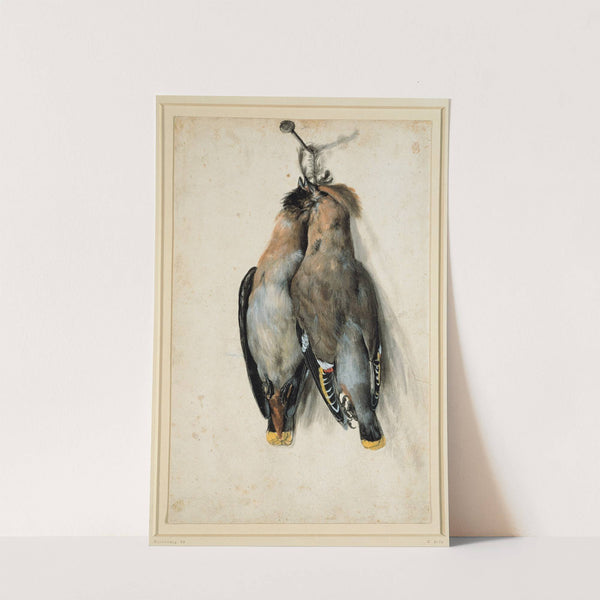 Two Dead Bohemian Waxwings (circa 1530) by Lucas Cranach the Elder
