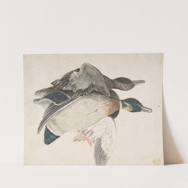 Two Dead Ducks by Count Giorgio Durante