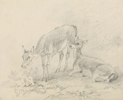 Two Deer