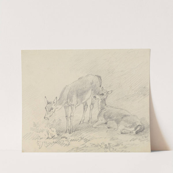 Two Deer by Sawrey Gilpin