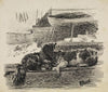 Two dogs (1893-1897)