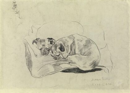 Two Dogs