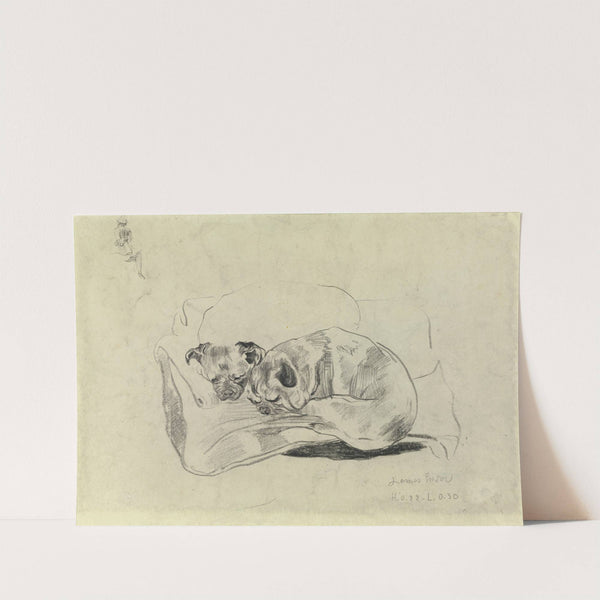 Two Dogs by James Ensor