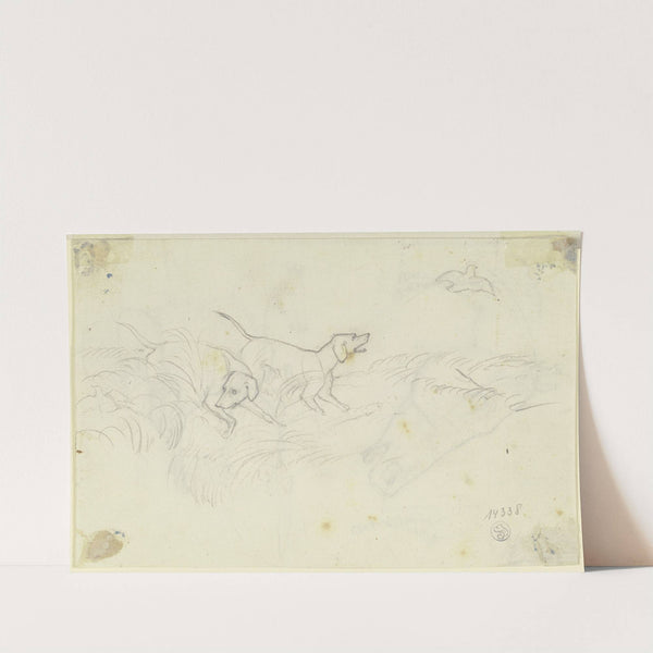 Two dogs by August Lucas