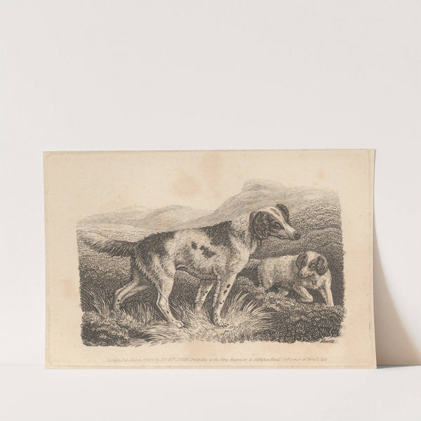 Two Dogs (1810) by Samuel Howitt