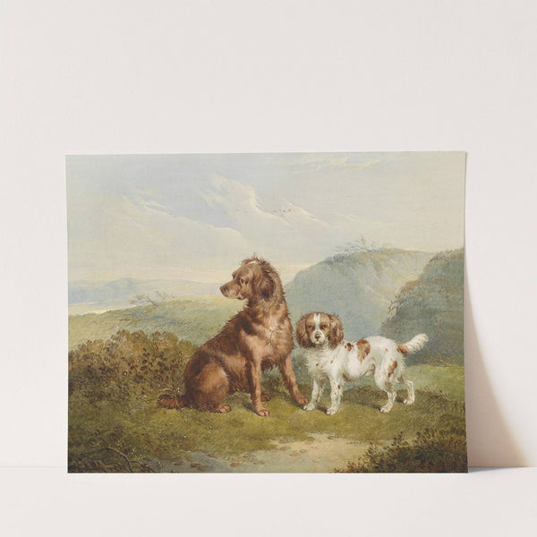 Two dogs by Charles Jones