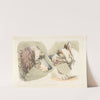 Two dogs’ heads and a paw. (1817-1818) by Henry Thomas Alken
