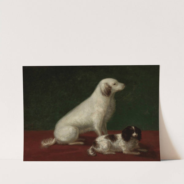 Two dogs, Miskon and Medorek by Zofia Szymanowska-Lenartowicz